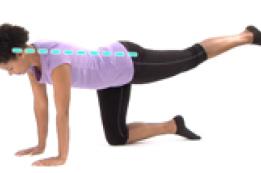 How to Do the Bird Dog Exercise