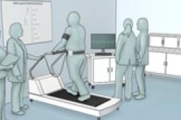 Exercise Electrocardiogram (Stress Test)