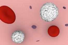 Complete Blood Count (CBC) Test: Understanding the Test