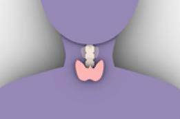 Thyroid Blood Test: Understanding the Test